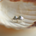 Clam shell stud earrings