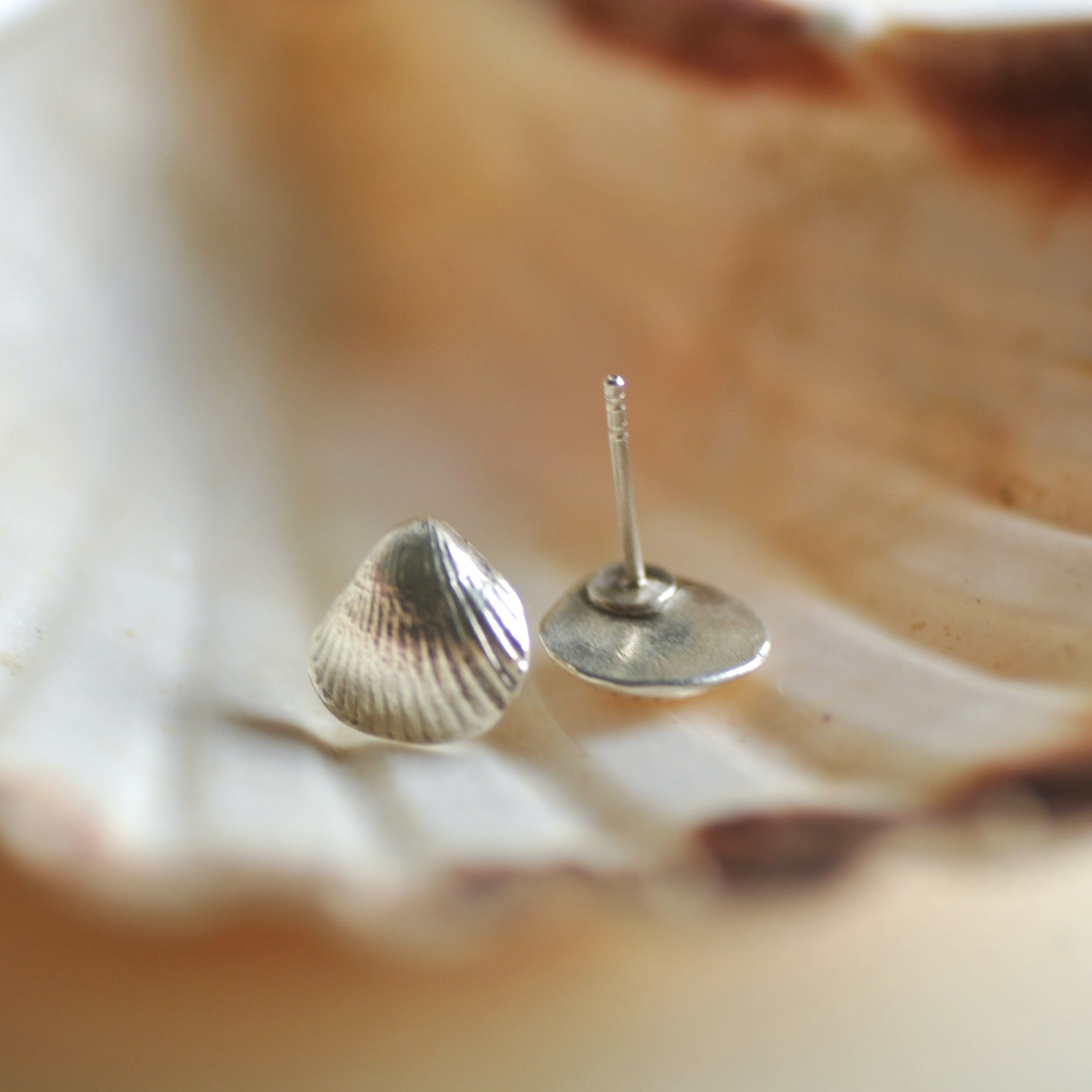schelp oorstekers