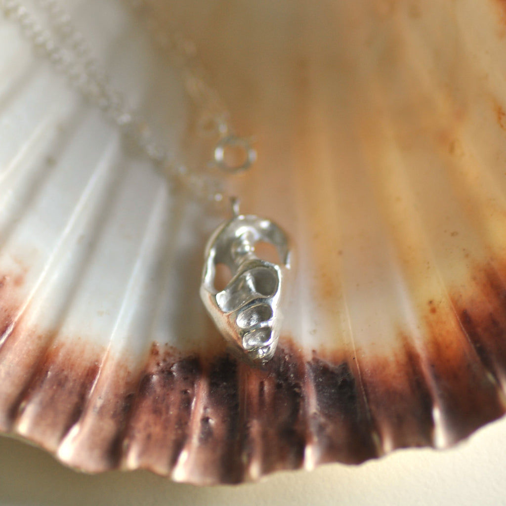 Open schelp halsketting