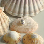spiraal schelp halsketting