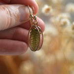 Fern droplet earrings - Gold Fill