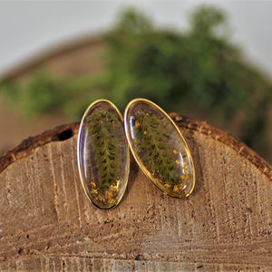 Varen oorstekers - 14K goldfill