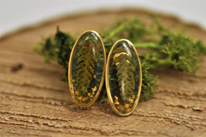 Varen oorstekers - 14K goldfill