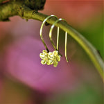 Petite blossom earrings - sterling silver
