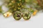 green and gold earposts