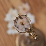 ridderspoor ketting