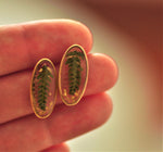 Varen oorstekers - 14K goldfill